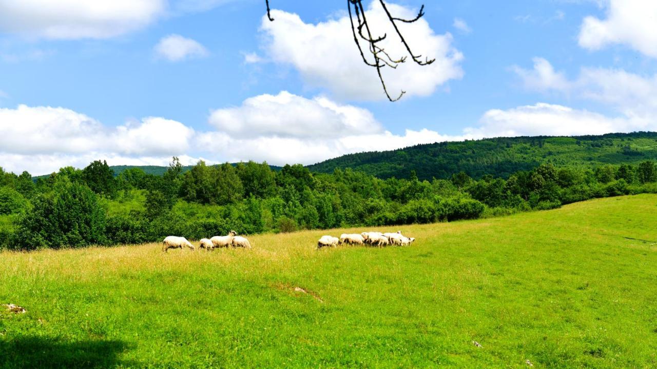 Natura Hause Villa Rakovica Exterior foto