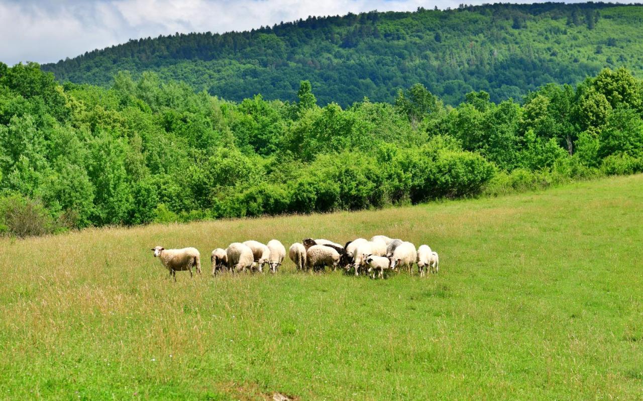 Natura Hause Villa Rakovica Exterior foto