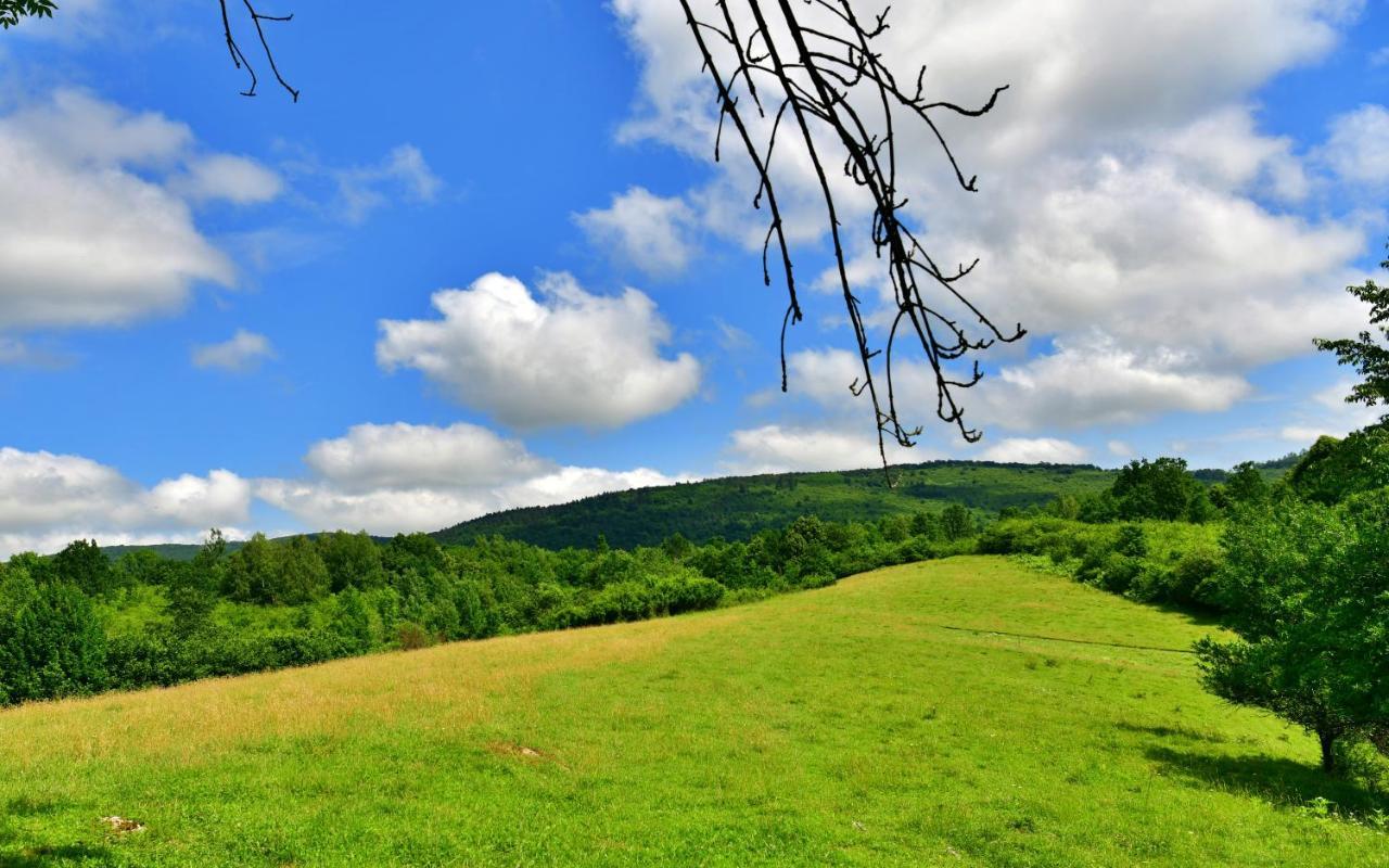 Natura Hause Villa Rakovica Exterior foto