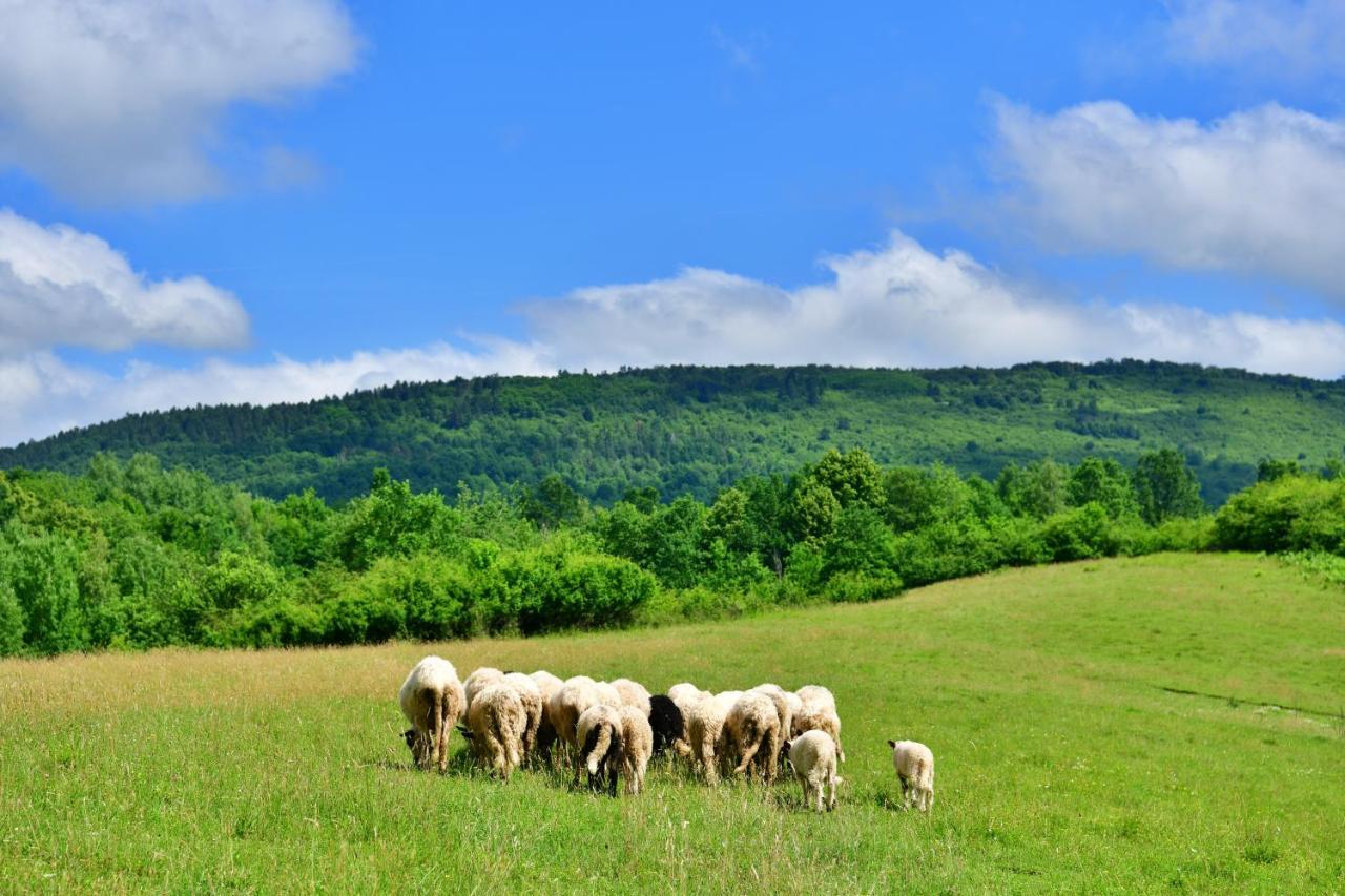 Natura Hause Villa Rakovica Exterior foto